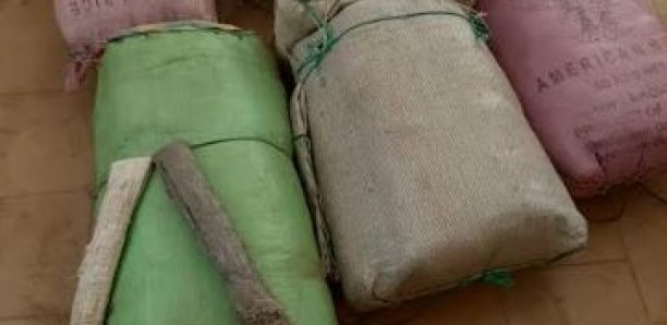 Saint-Louis : Arrêté avec 750 g de chanvre indien, le berger Amadou Saïdou Dème prend 1 an ferme