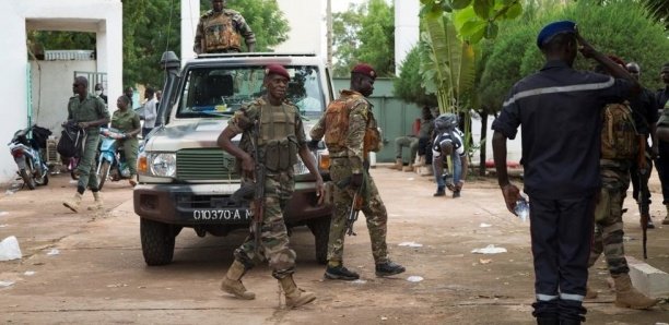 Diouloulou : L’armée a détruit des champs de yamba et arrêté trois individus.