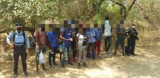Émigration clandestine : Des Sénégalais arrêtés au Honduras