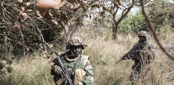 Société : retour sur quelques drames de sénégalais morts lors de leur formation militaire de 2013 à nos jours.