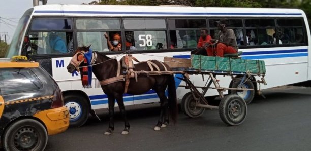 Covid-19 : quel est l'endroit le plus sûr pour s'asseoir dans un bus, un avion ou un train ?
