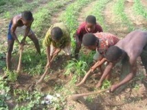 Exploitation des enfants : 152 millions d’enfants travaillent dans le monde et plus de la moitié sont victimes d’esclavage et de prostitution