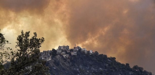 Algérie : plus de 40 morts dans les incendies qui ravagent la Kabylie