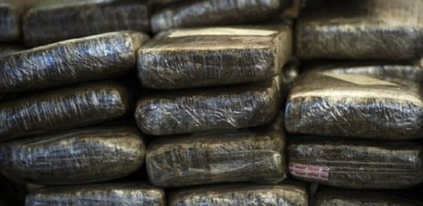 Trafic international de drogue : Un pêcheur tombe avec 15 kg à Yarakh
