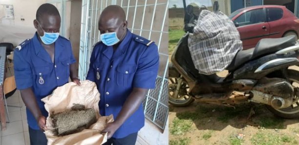 Sangalkam-Bambilor-Keur Ndiaye Lô : La gendarmerie arrête une quinzaine