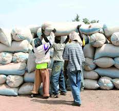 Plus de 20 milliards CFA détournés en semences