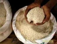 ASSISTANCE  A TOUBA : l’Etat privilégie le riz local