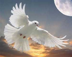 Une Burundaise et une Ivoirienne s’engagent pour le retour de la paix en Casamance