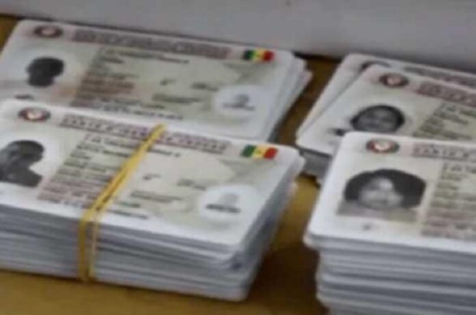 Élections Locales : Près de 700 cartes d’électeurs "volées" dans le département de Tivaouane