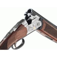 Parti chasser des perdrix, Djiby Thiam se tue avec son arme