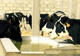 L’agrobusiness : Le ministère de l’Agriculture obtient 43 milliards FCFA des bailleurs