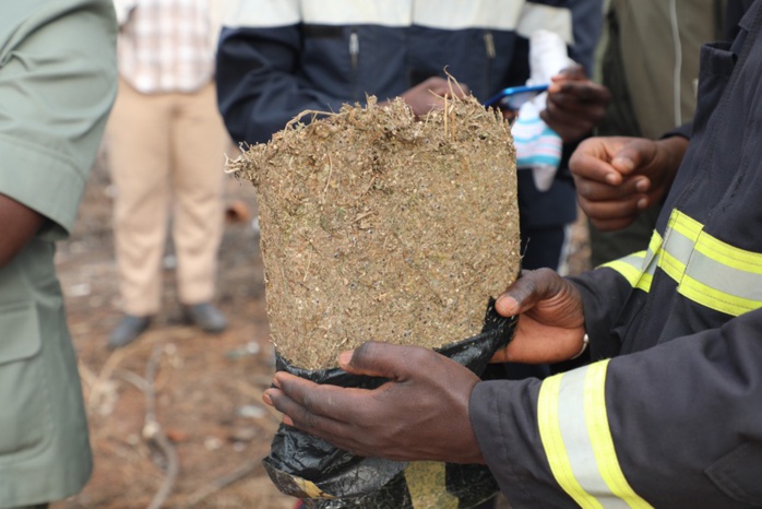 Kédougou / Moussala : saisie de 51 paquets de haschich d'un poids de 5kg et d'une valeur de 50.000.000 francs.