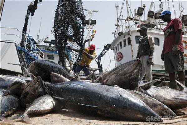 L'accord de pêche avec le Sénégal ‘’se veut un partenariat stratégique’’ (UE)