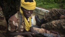 Centrafrique: pourquoi réorganiser la Seleka maintenant?