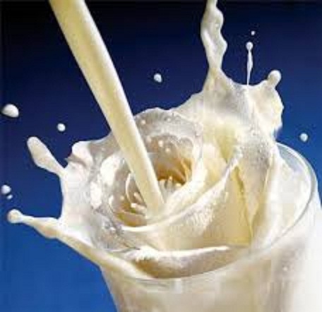 La Journée internationale du lait sera célébrée à Kolda