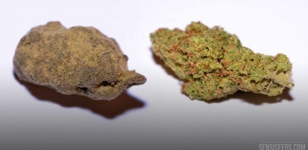 Trafic international de haschich :  La police sénégalaise fait tomber deux grands dealers marocains