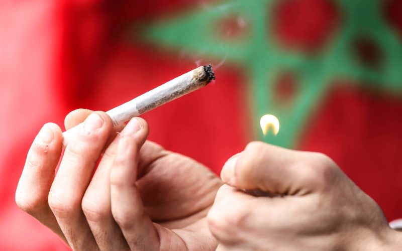 Maroc : La production et la vente du yamba légalisées