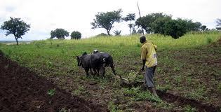 Les dirigeants africains ont réaffirmé leur intention de consacrer 10 % de leurs budgets nationaux au développement agricole