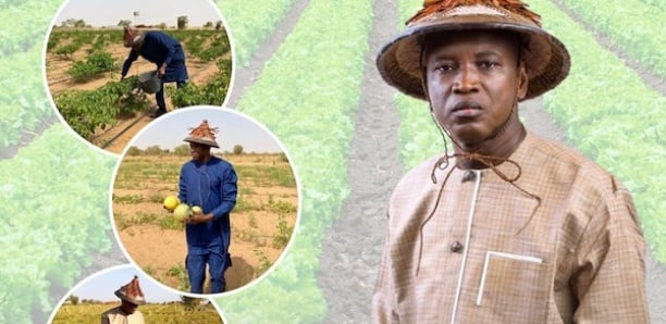 Agriculture : 700 tracteurs annoncés par le ministre Aly Ngouille Ndiaye