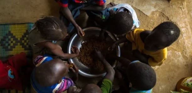 Nutrition : Le SECNDN met en place un Groupe de soutien des collectivités territoriales