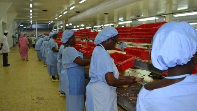 Oumar Gueye en visite au port de pêche de Dakar