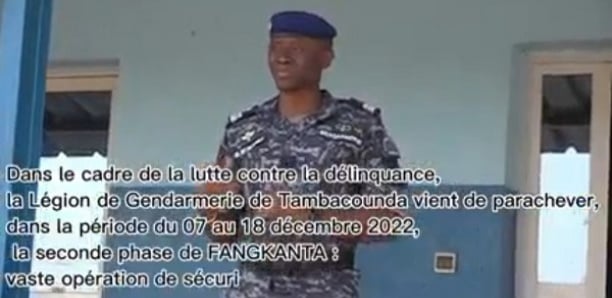 553 individus interpellés à Kédougou : La gendarmerie démantèle des sites d'orpaillage