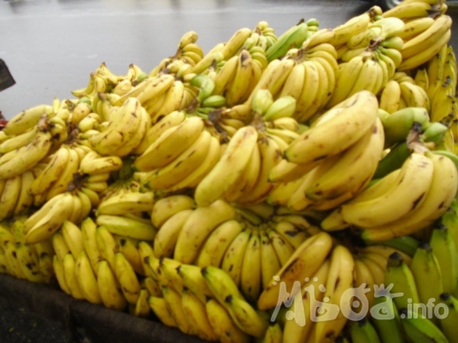 Pénurie de banane sur le marché : les vendeurs prônent l’ouverture de la frontière Sénégalo-Guinéenne