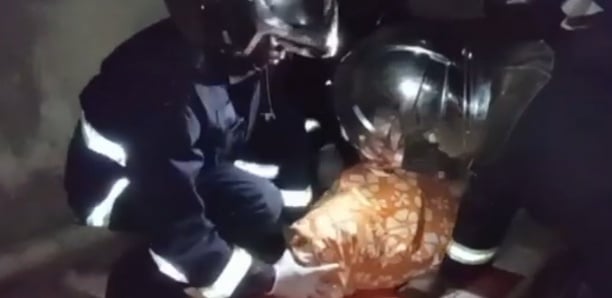 Incendie à Mbacké: Une dame de 70 ans meurt calcinée