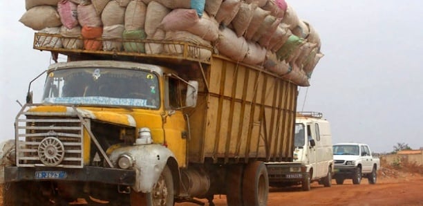 Kaffrine : Deux camions remplis de foins réduits en cendres