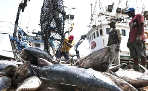 Les accords de pêche prévus pour entrer en vigueur début 2015 (Dellicour)