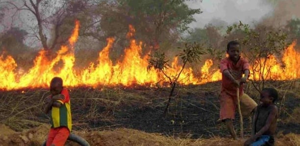 24 heures d’affilée de feu de brousse au Ranche de Dolly