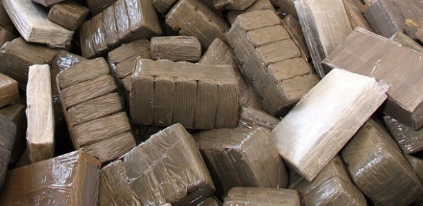 Saisie de 805 kg de cocaïne : le propriétaire de la drogue identifié