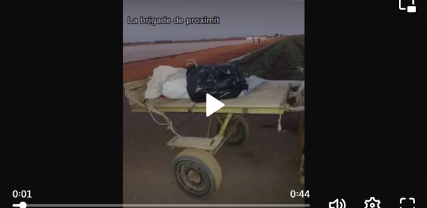 Notto Diobass: La gendarmerie intercepte une charrette transportant 40 kg de drogue