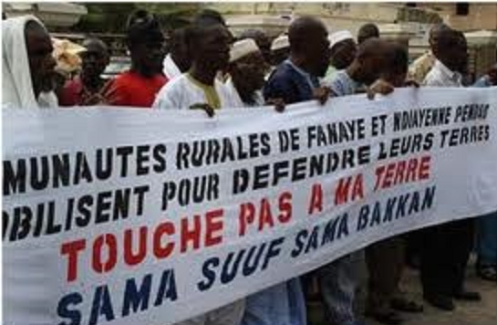 Fanaye : Quatre jeunes arrêtés !
