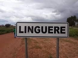 Linguère : la marche de PASTEF interdite