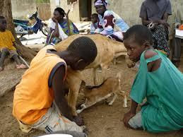 Fatick : Polémiques autour de la distribution des bourses familiales