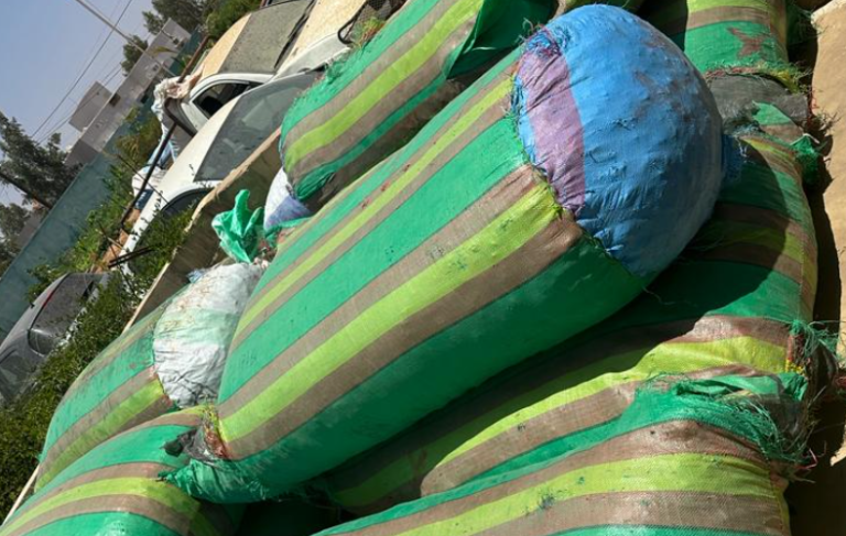 Trafic : Des ailerons de requin estimés à 418 millions fCfa saisis par la douane sénégalaise