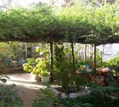 DOCTEUR OUSMANE ALY PAM :" Nous restons mobilisés pour une planète globalement éco-Village",