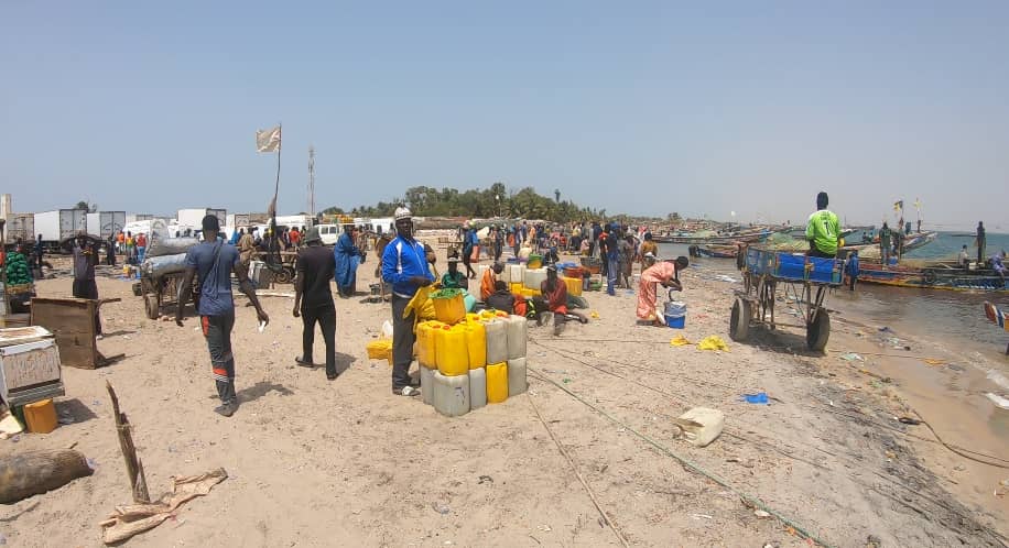 Dernière minute : Un corps sans vie repêché à la plage de Djiffer
