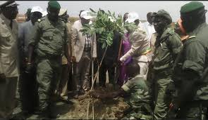 «TOUBA VILLE VERTE» : Un projet bien apprécié par le Khalife Général des Mourides