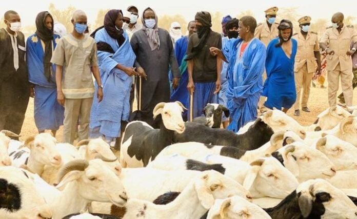 Tabaski 2023 : Amadou Ba annonce une mauvaise nouvelle pour les ménages à Dakar
