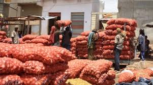 Plan d'actions de la filière oignon : 350 000 tonnes en ligne de mire