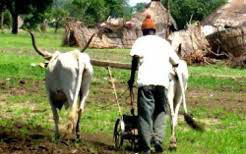 Les maraîchères de Lompoul sollicitent un relèvement de leur quota d’engrais