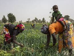 Agriculture : Les femmes rurales se mobilisent