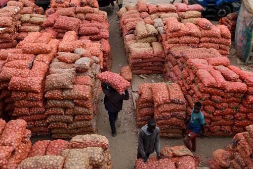 CONSOMMATION : Le prix de l’oignon a connu une réduction de 40% (DG PAD)