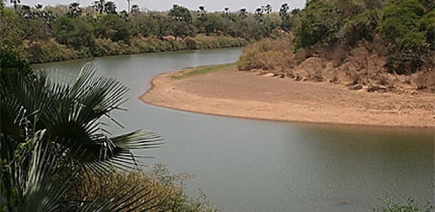 Un corps sans vie découvert au large du bras du fleuve Casamance