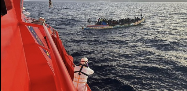 250 migrants sénégalais secourus par la marine marocaine