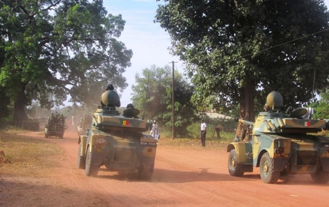 Bignona : Trois(3) tonnes de chanvre indien saisies et 18 champs détruits