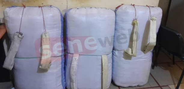 Karang : L'OCRTIS de Kaolack intercepte 124 kg de drogue, les dealers en fuite