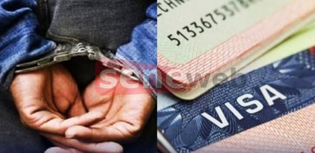 Escroquerie au visa : un opérateur économique arrêté